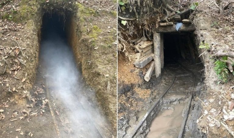 Ruhsatsız çalışan 4 mayın imha edildi – Son Dakika Türkiye Haberleri