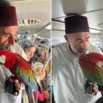 Papağanı ile metrobüse bindi – Son Dakika Türkiye Haberleri