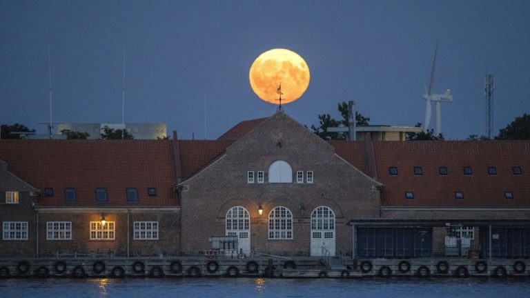 Güney Avrupalı ​​turistler aşırı sıcaktan kaçmak için Danimarka'ya akın ediyor