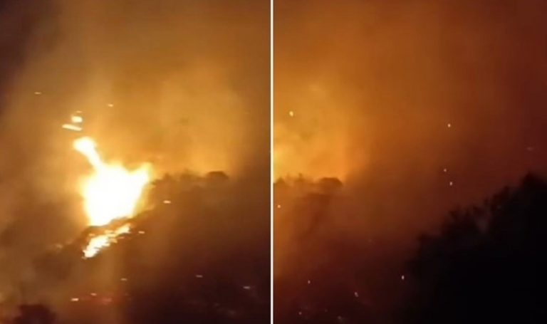 Germencik'te yangın! – Türkiye'den son dakika haberleri