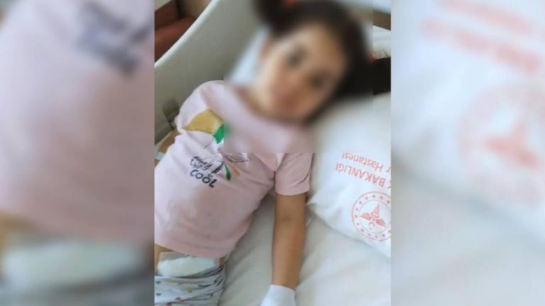 Ankara'da 5 yaşındaki çocuk sokak köpeklerinin saldırısına uğradı