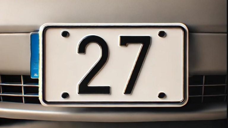 27 Hangi plaka? 27 Hangi şehrin plaka kodu var? 27 Hangi ile ilgilidir?