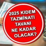 TFR KUMAŞ OCAK 2025 HESAPLANMASI | Kamu çalışanı ve kıdem tazminatı tavanı ne kadar ve ne kadar artacak? Yeni TFR açıklandı, ne zaman açıklanacak?