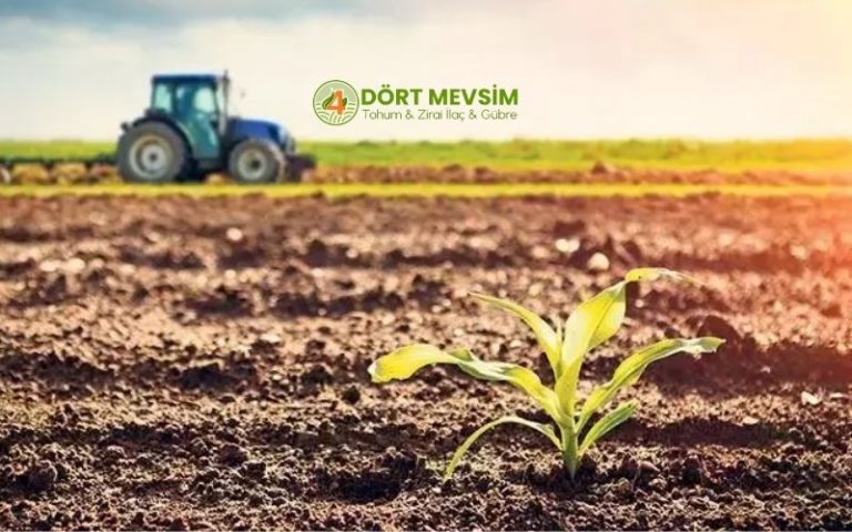 Dört Mevsim Tarım ile Verimli Üretim İçin En İyi Fide Çözümleri