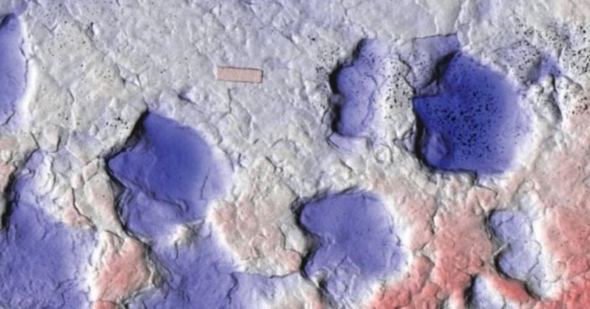 Kanada’da yeni bir tür zırhlı dinozor keşfedildi