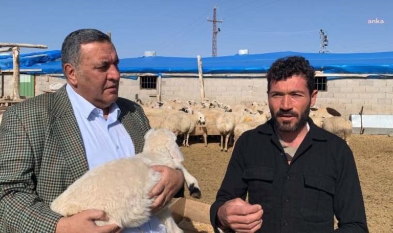 ÖMER FETHI GURER: Çiftçilerin tüm borçları taşınmazsa ve faiz oranları ortadan kaldırılmazsa, bu yıl çok konuşacağız – tarım haberlerini kırın