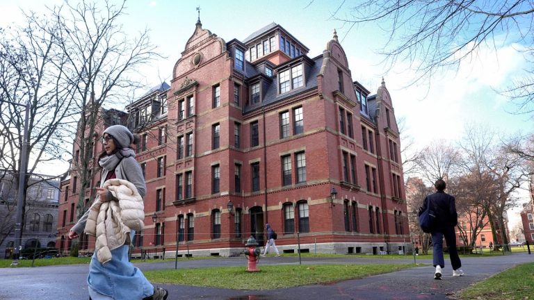 Harvard, yabancı öğrencilere yasak getiren Trump kararına dava açtı