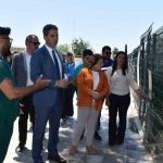 Didim’de hayvan barınağı denetlendi – Güncel Haberler