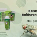 Evlerde ve iş yerlerinde haşere sorununa karşı etkili ürün tercihinin önemi