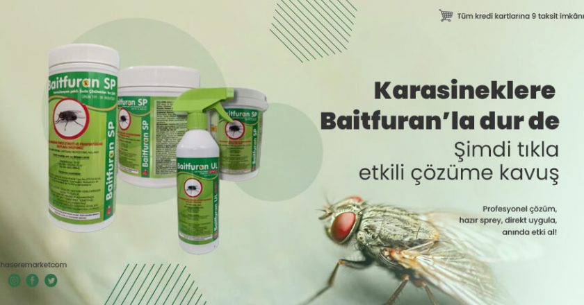Evlerde ve iş yerlerinde haşere sorununa karşı etkili ürün tercihinin önemi