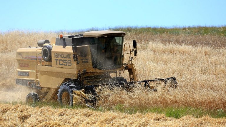 Küresel gıda fiyatları temmuzda yükseldi