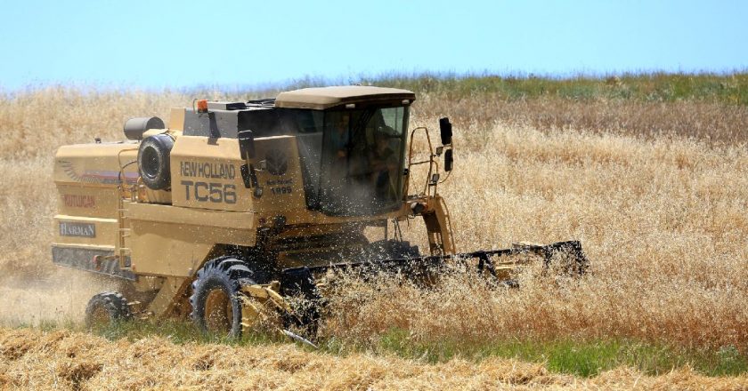 Küresel gıda fiyatları temmuzda yükseldi