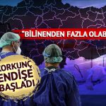Ölümcül hastalık yıllar sonra Türkiye’de! Korkunç belirtilere sahip deli dana vakaları panikletti: “Yenileri de ortaya çıkabilir”